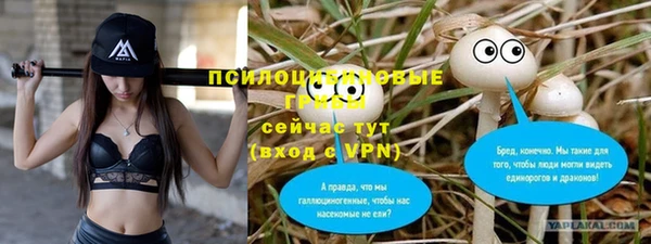 mdpv Баксан